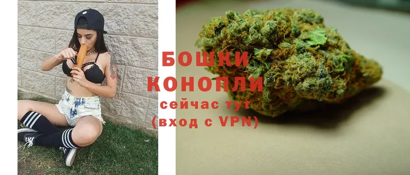 Каннабис SATIVA & INDICA  Нюрба 